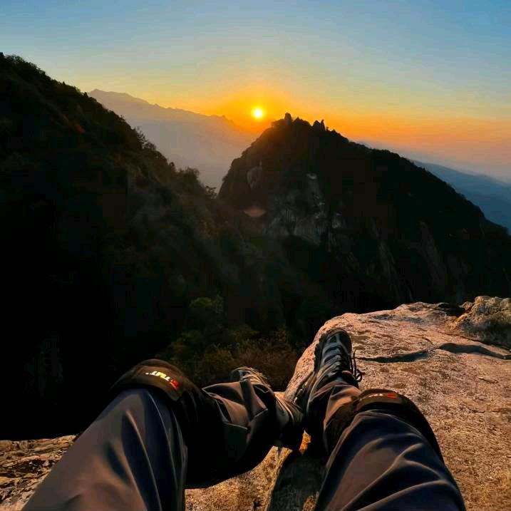 《漂洋过海来看你》