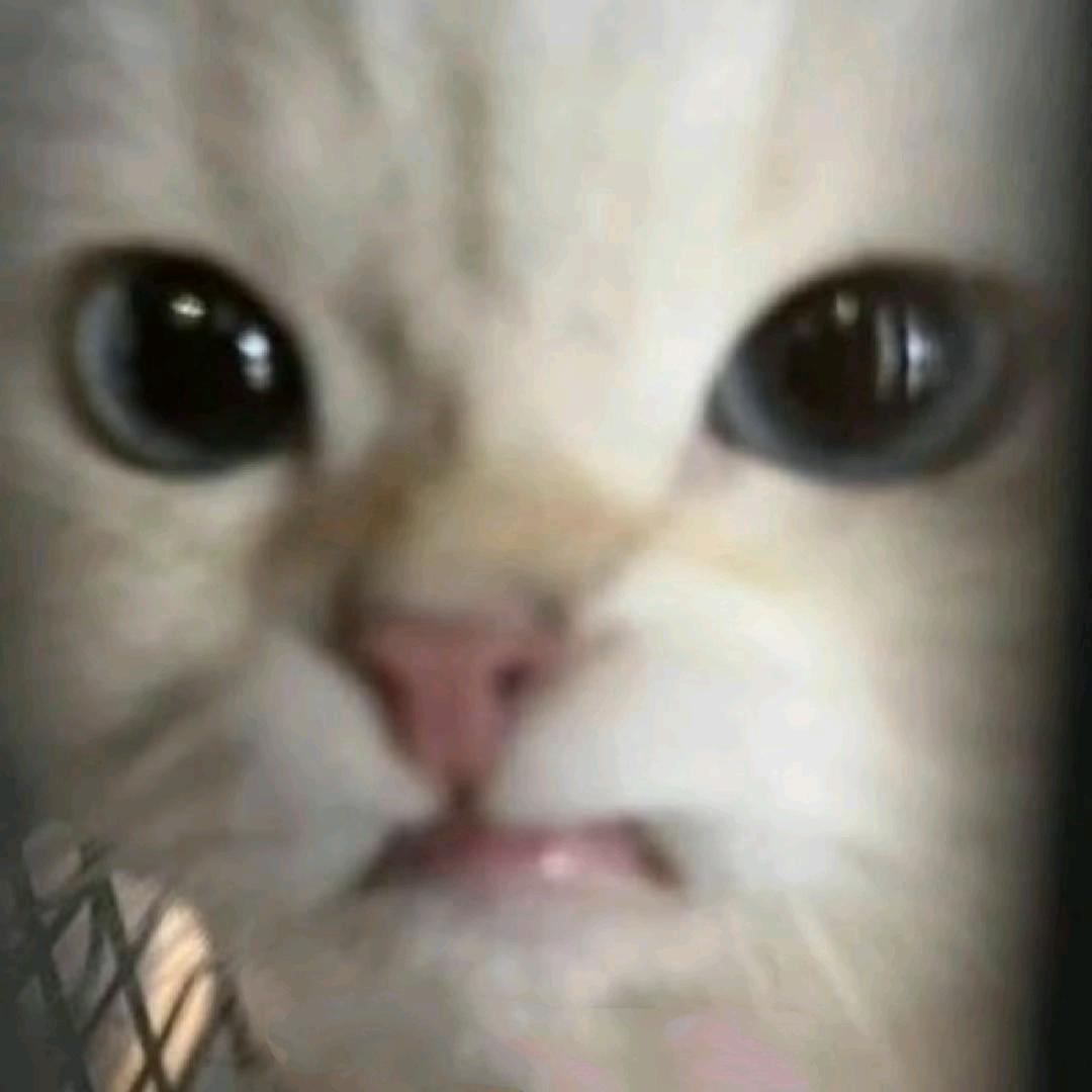 胀完就睡