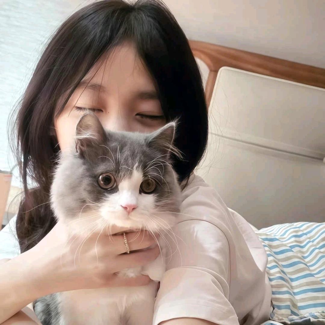 番茄本柿