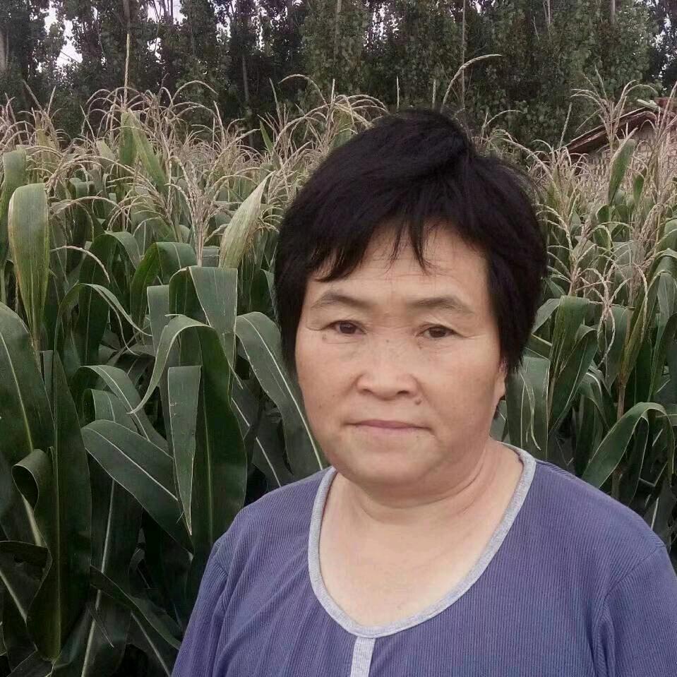 程村郭家农资