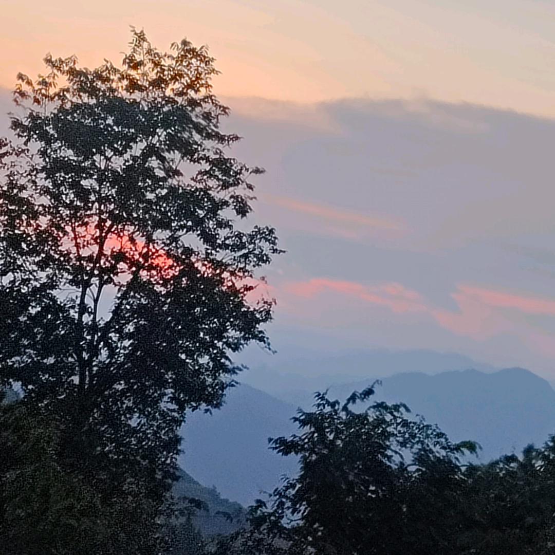@清樽独醉**