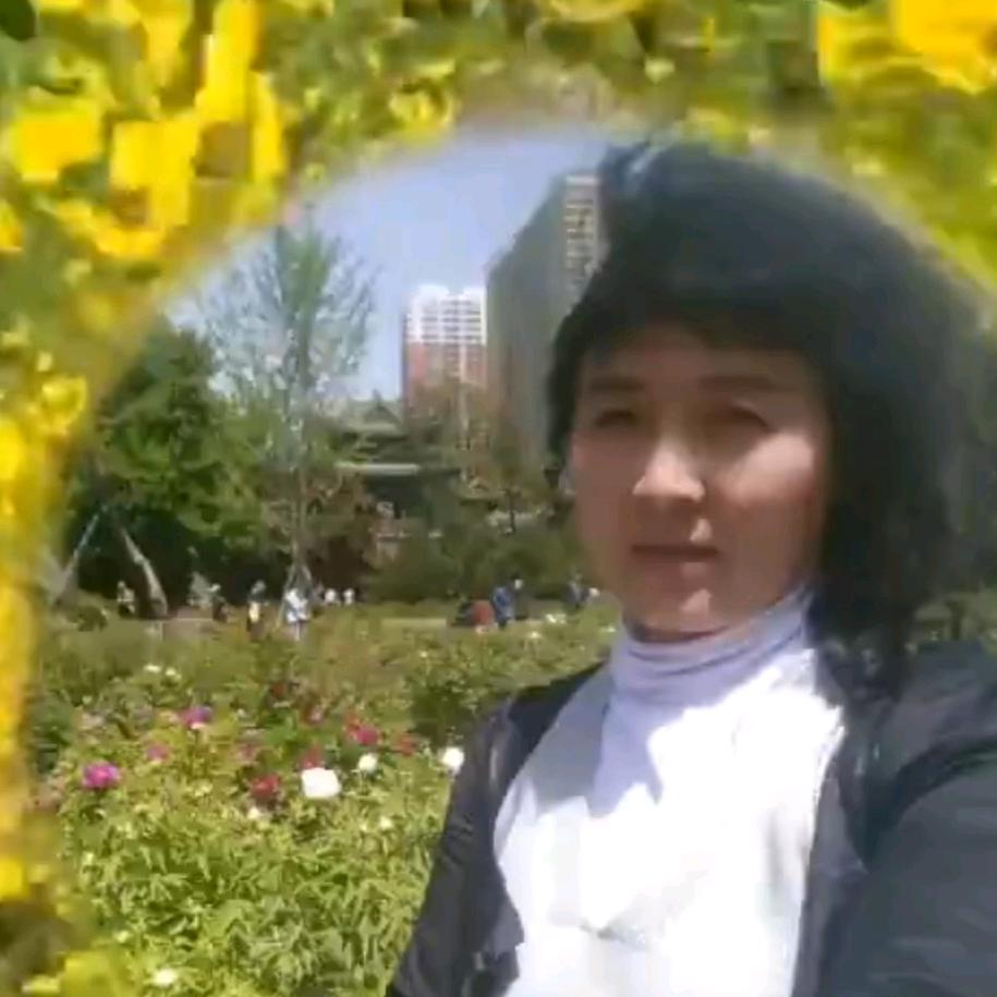 竹竹百货