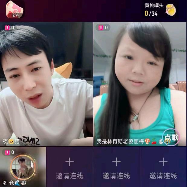 我是苏成苏夫人