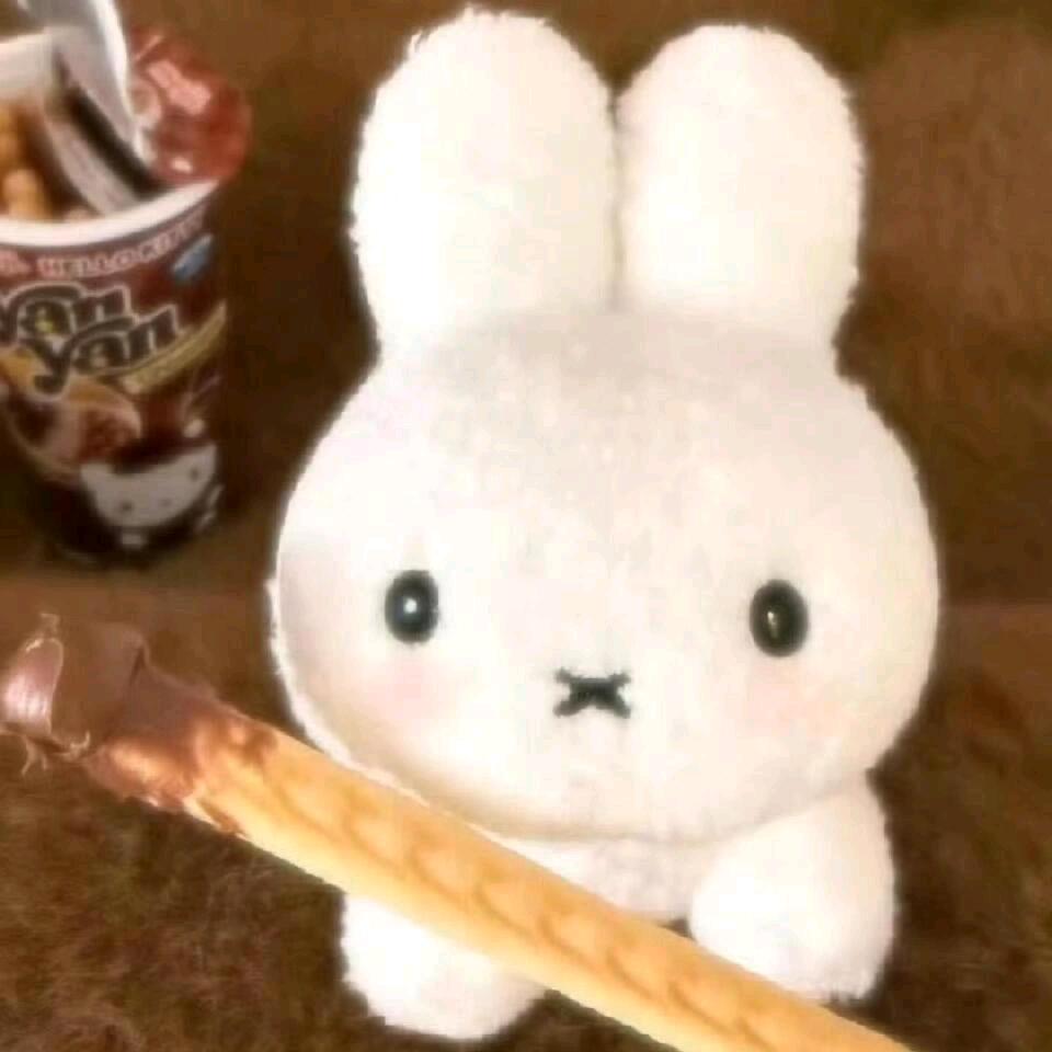 ₊⁺✞ʚ沉睡大陆重度依赖ɞ✟₊⁺