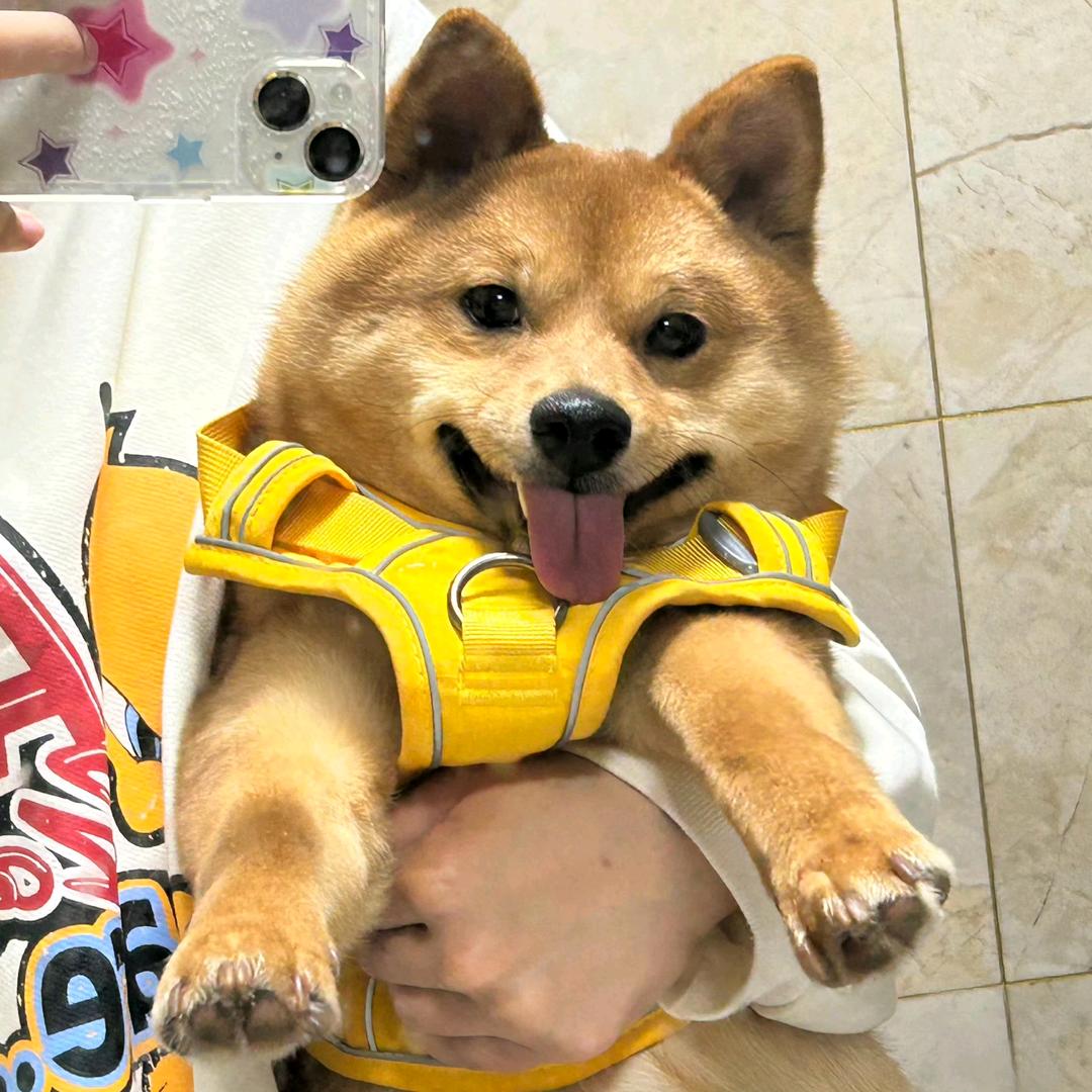 小 王