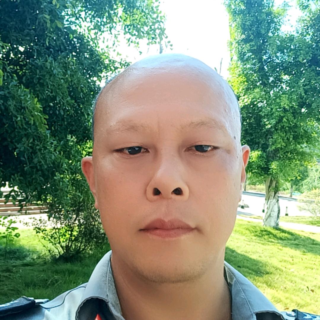 鱼鹰