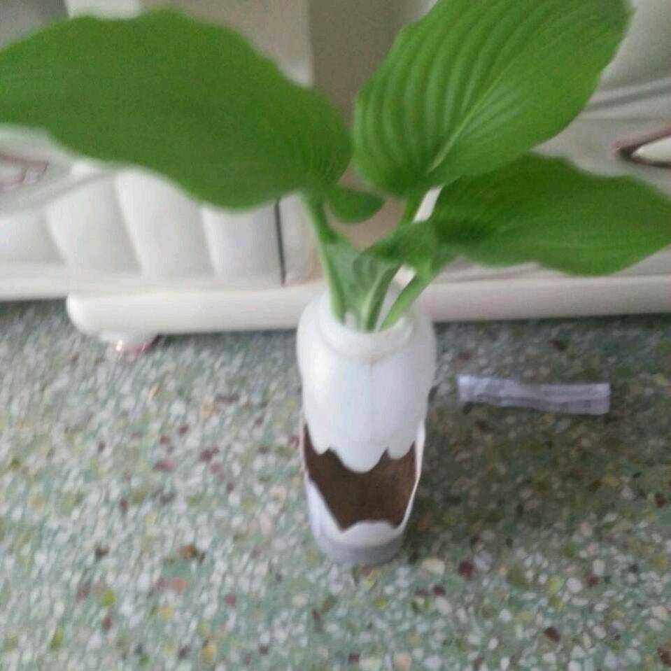 美丽的天空