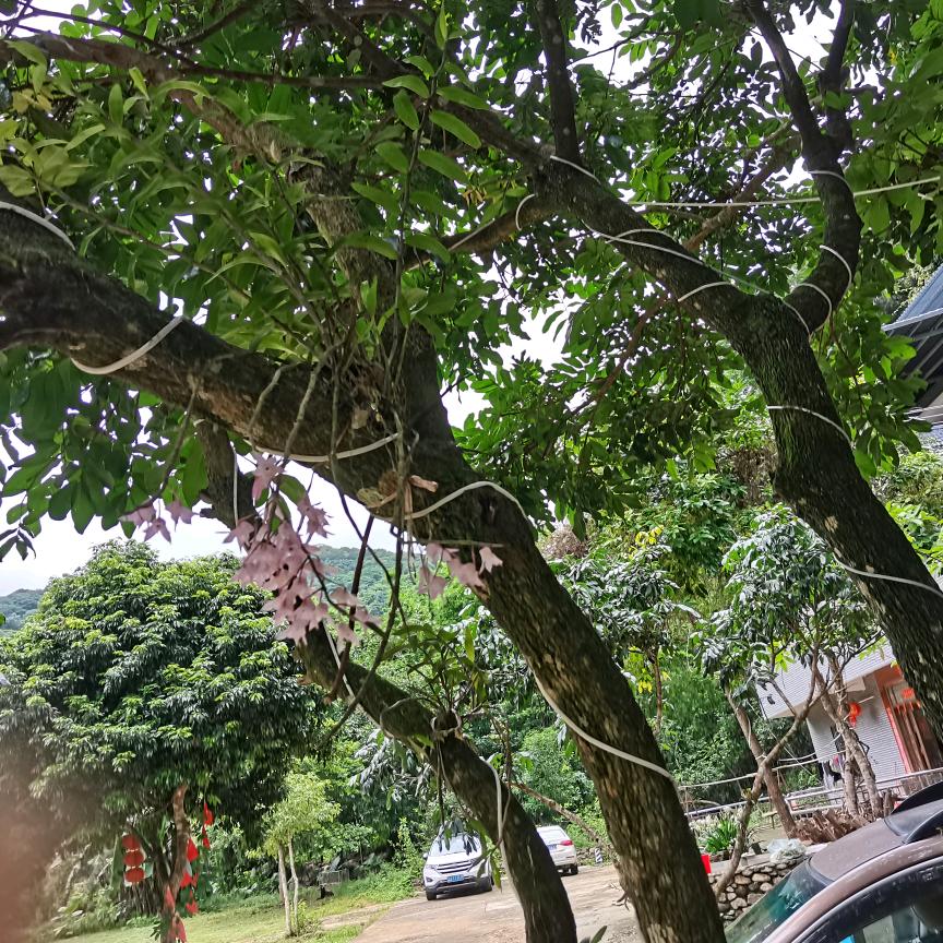 用户6552649028122