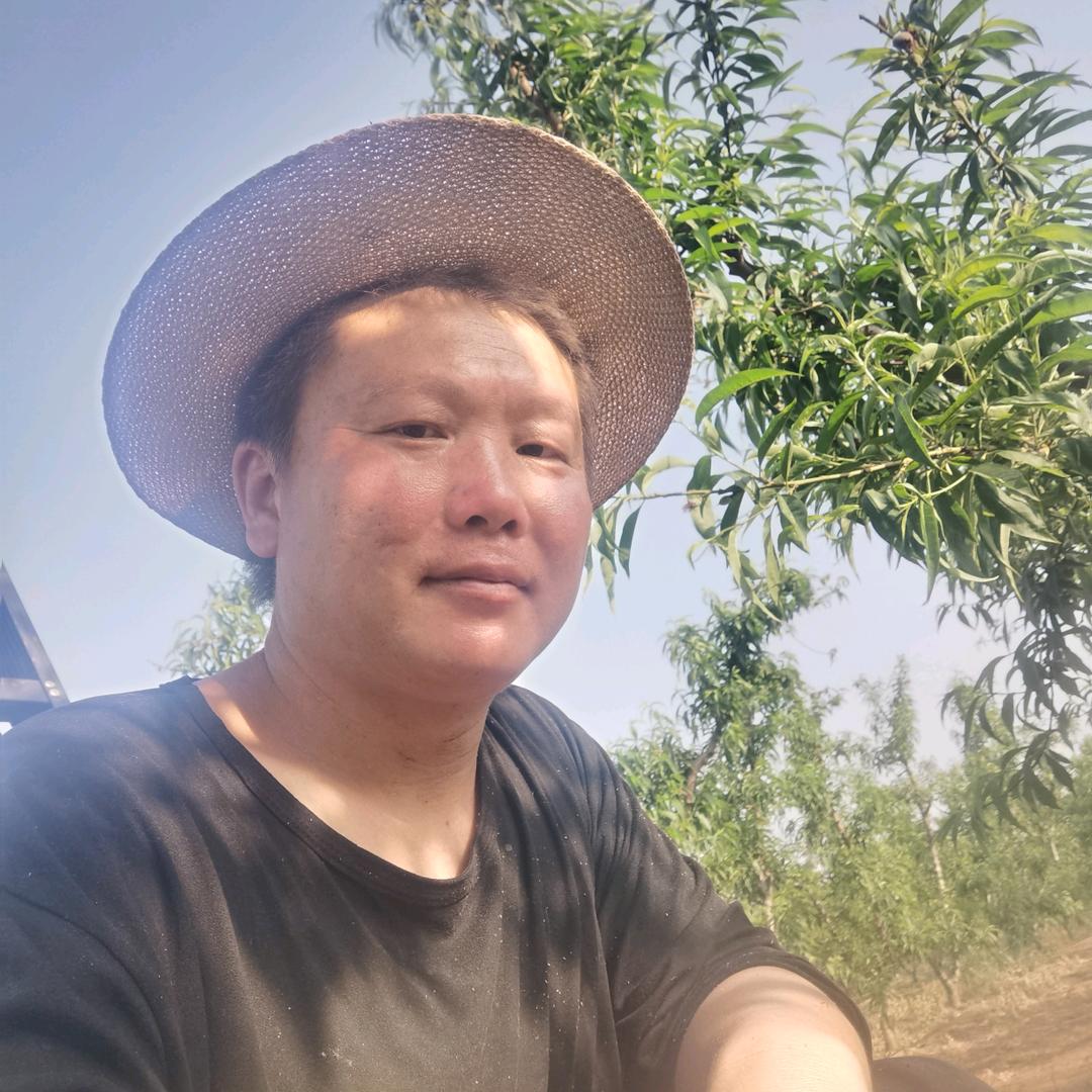 爱拼才会赢