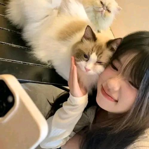 看世界~