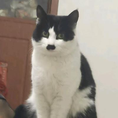 502