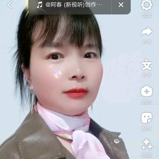 云南王琴