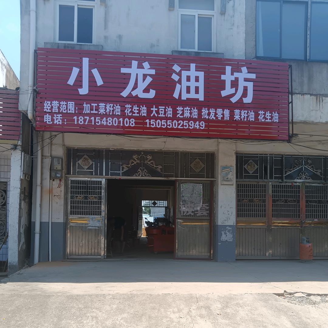 看透未来（赵二姐姐）