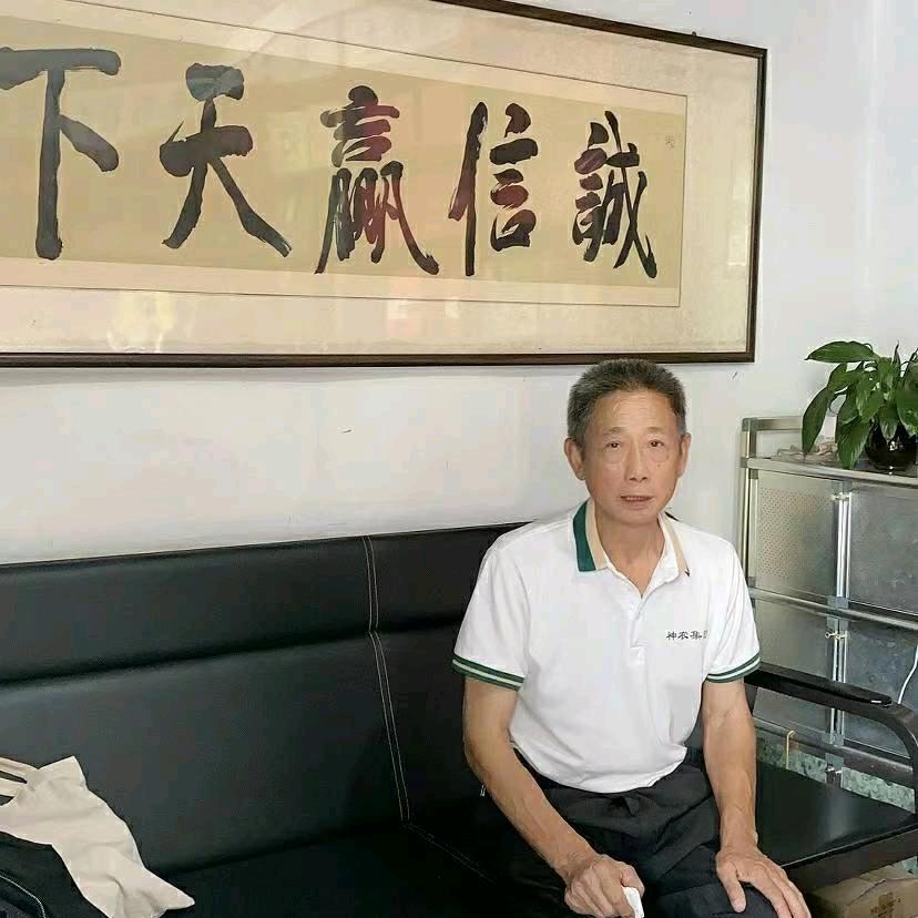 神农茶业龚忠学