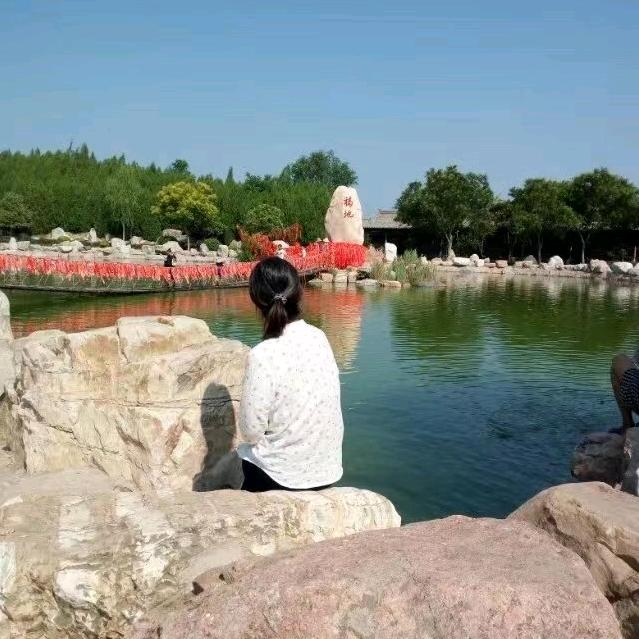苗圃95