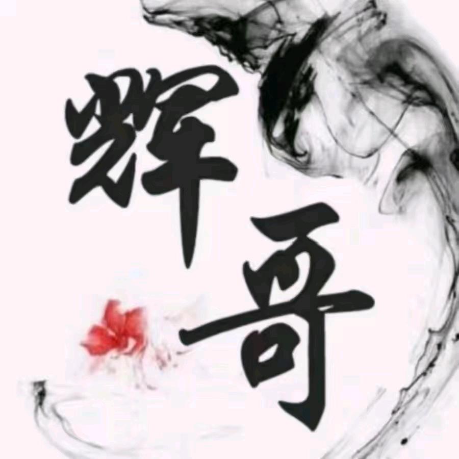 辉哥发制品