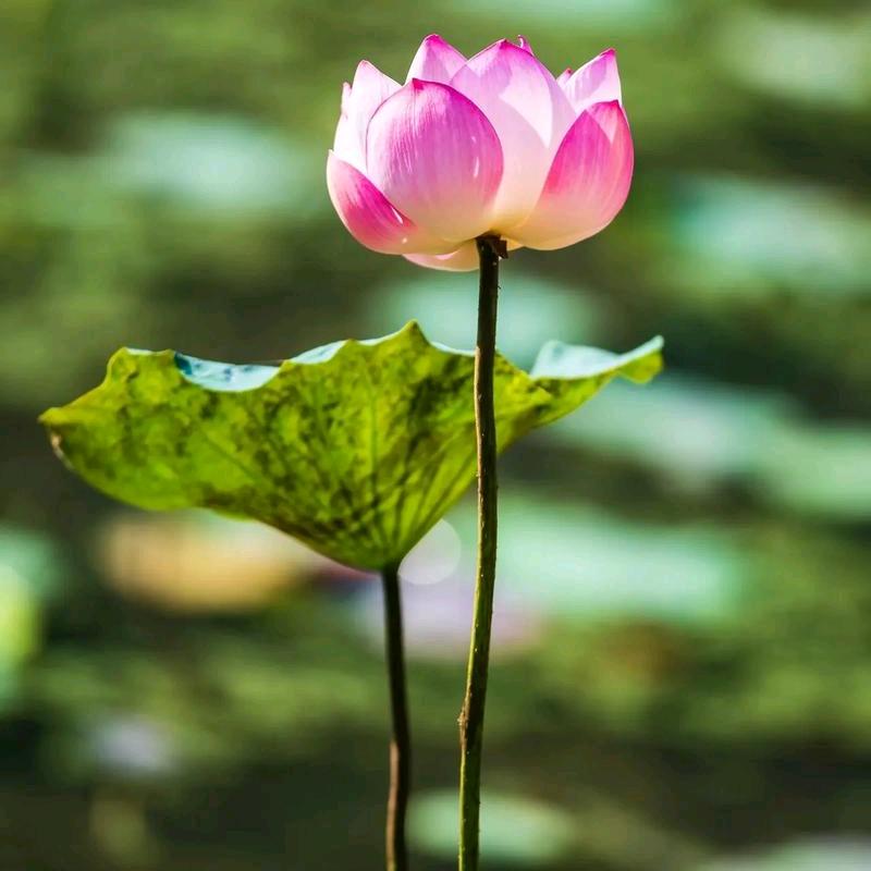 蒋老师