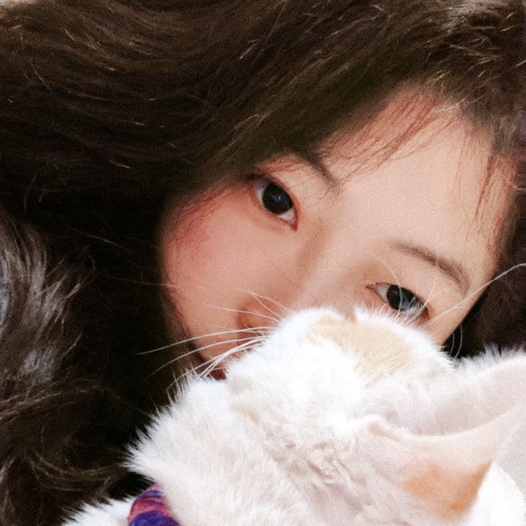 南阳楚汉装饰～赵超男