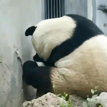 风入水