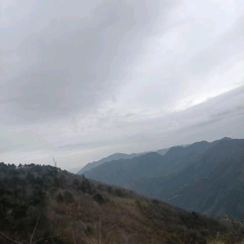 雨霏