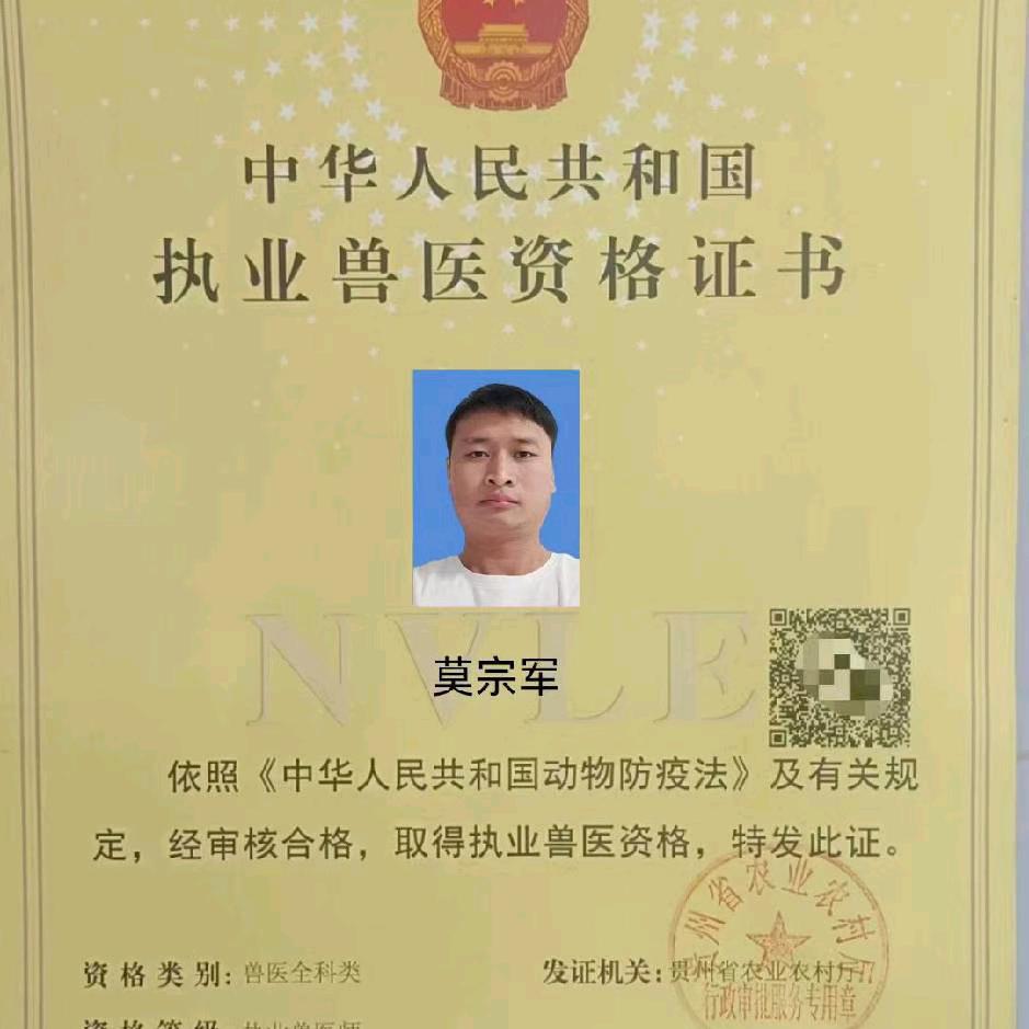 小莫兽医，专业人工配猪牛