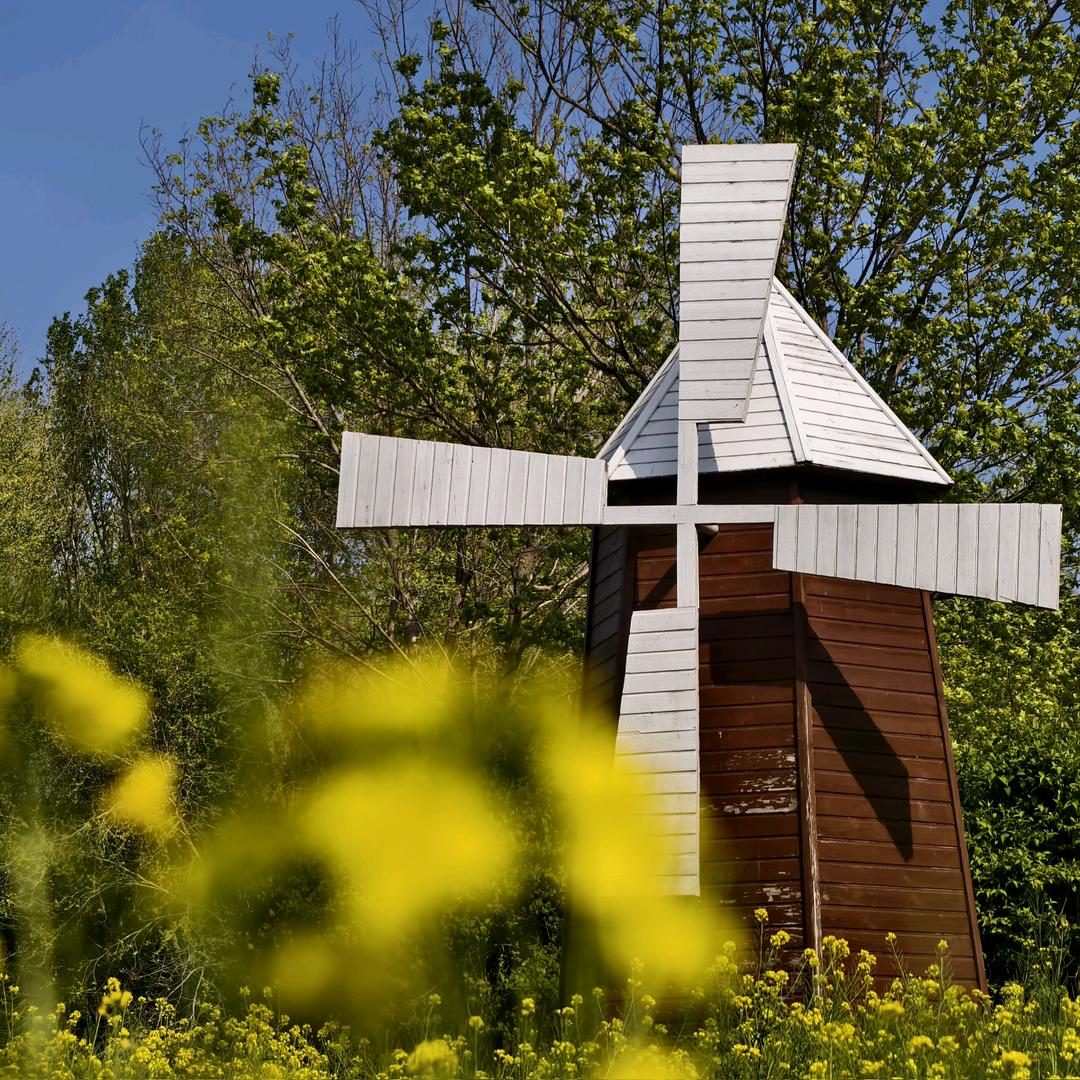 不做牛马的杠精