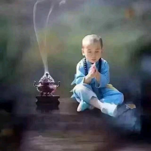 妖股阿宝