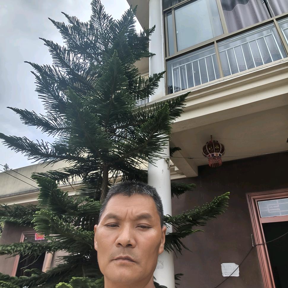 爱与恨