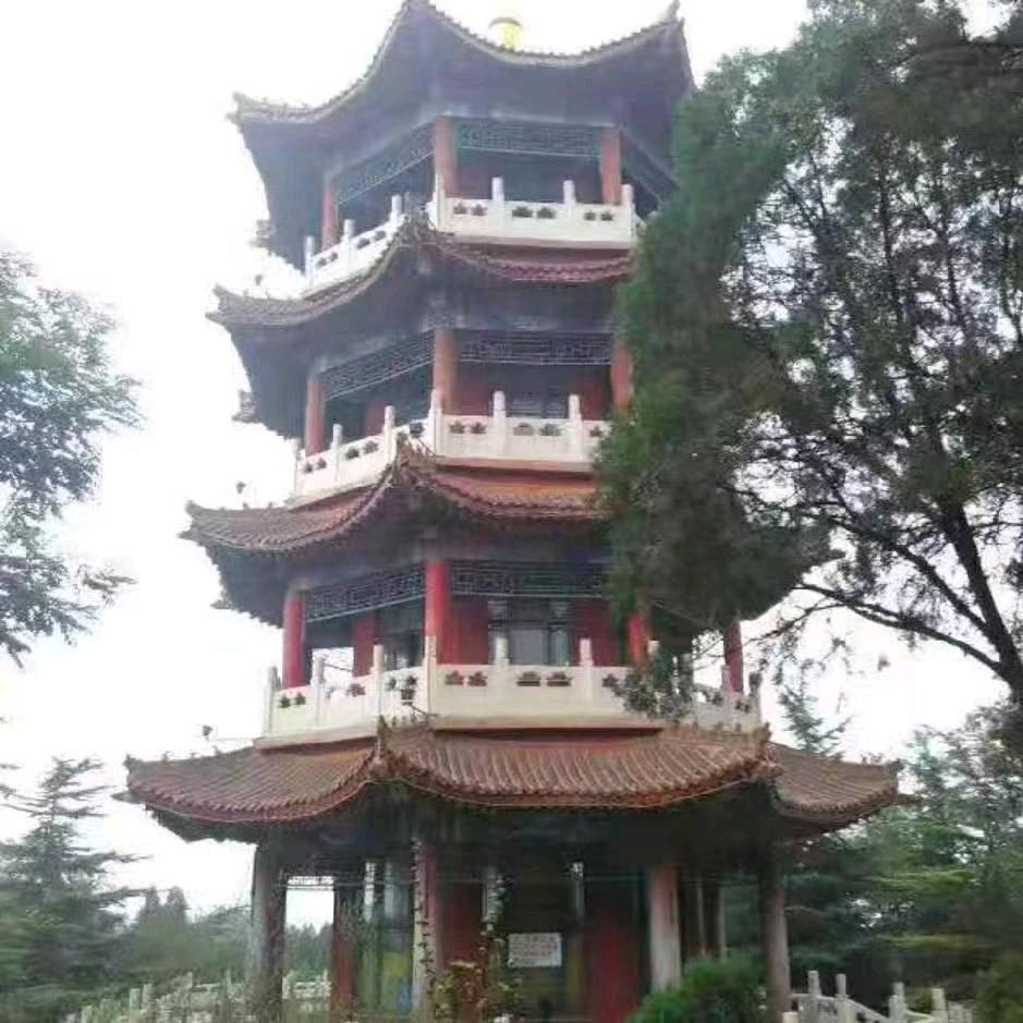 赵龙龙一个