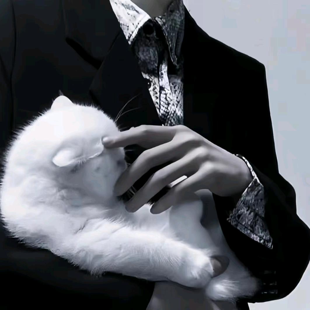 ♛啊浩༄༅（白莲敎）