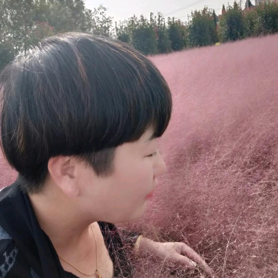 杭州 泽栋农业，凤姐，