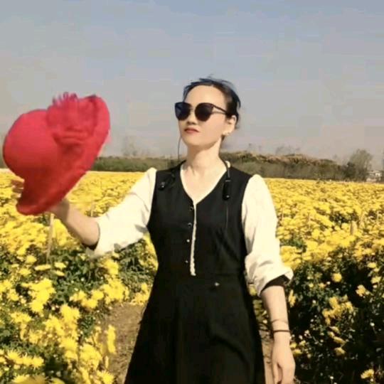 斗艳争辉（拒绝连赞）