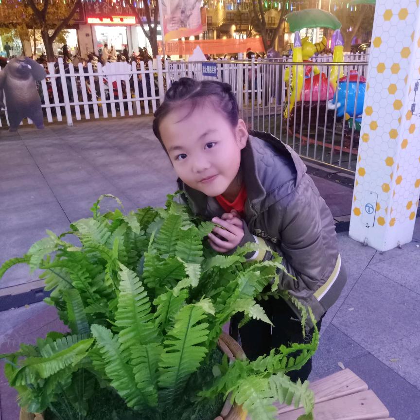 月亮的卫星