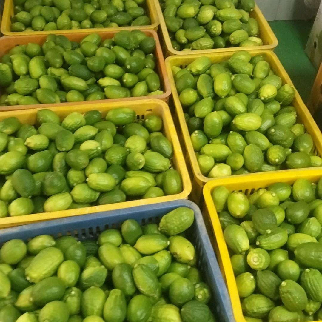 广东香水柠檬