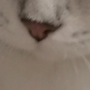 红社坤蛋
