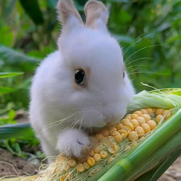 我命由我不由天！！！