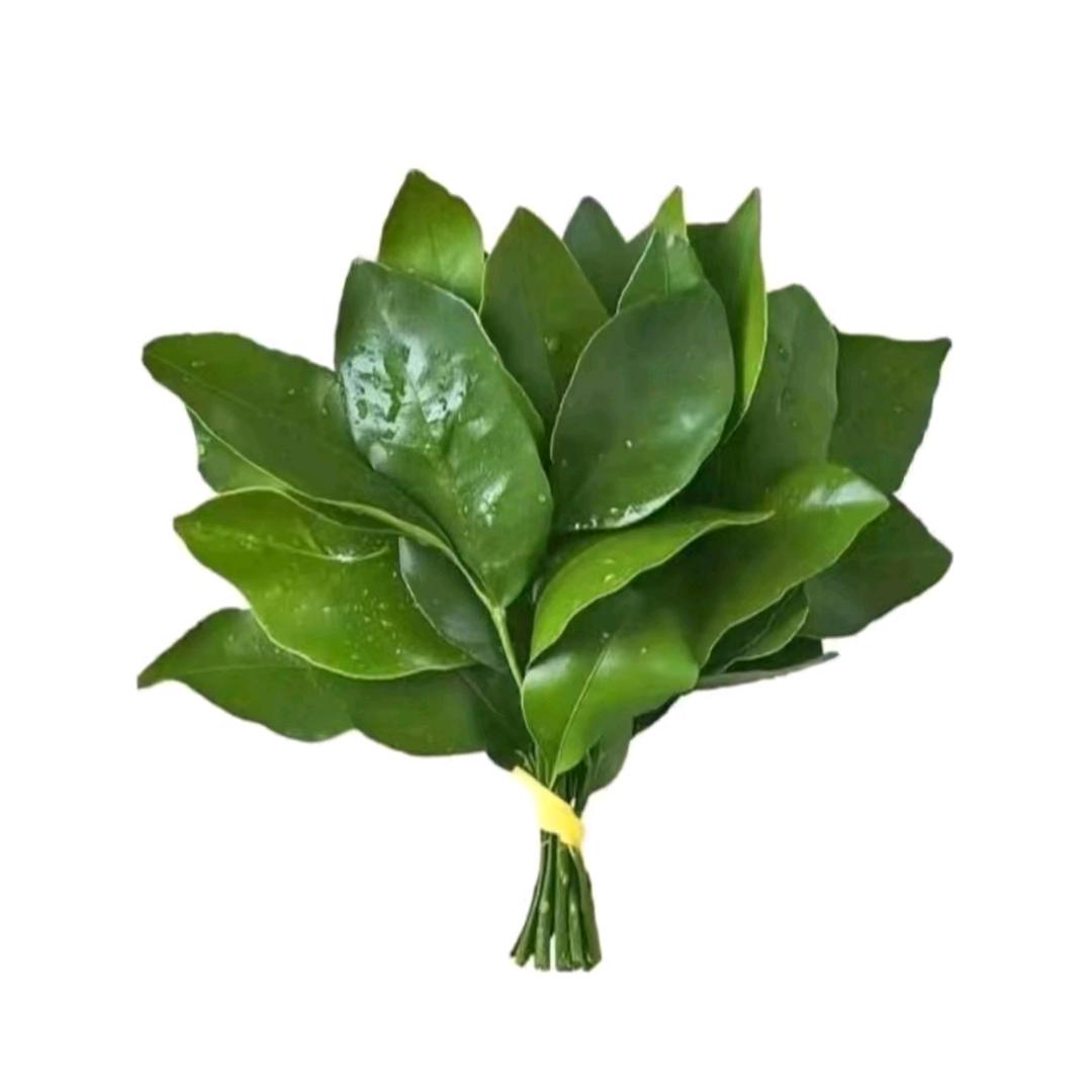 noel