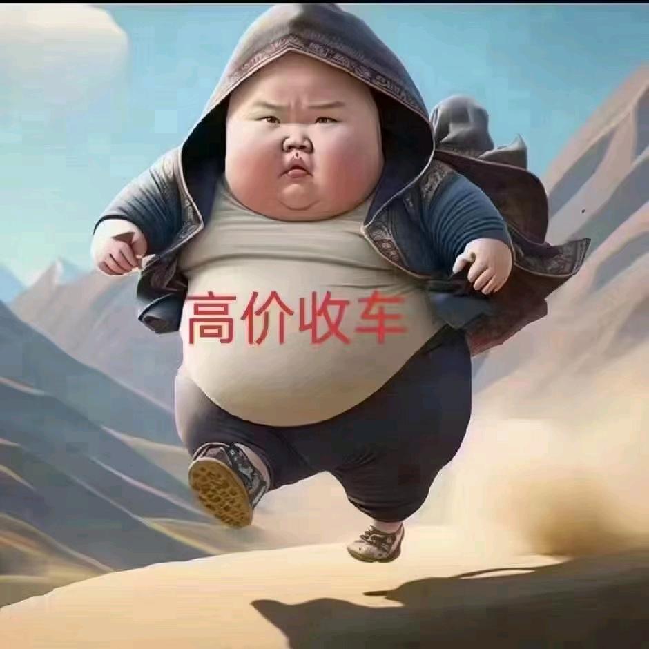 宁波阿龙优选二手车