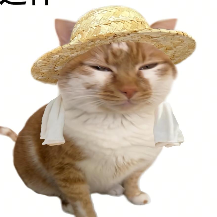 望