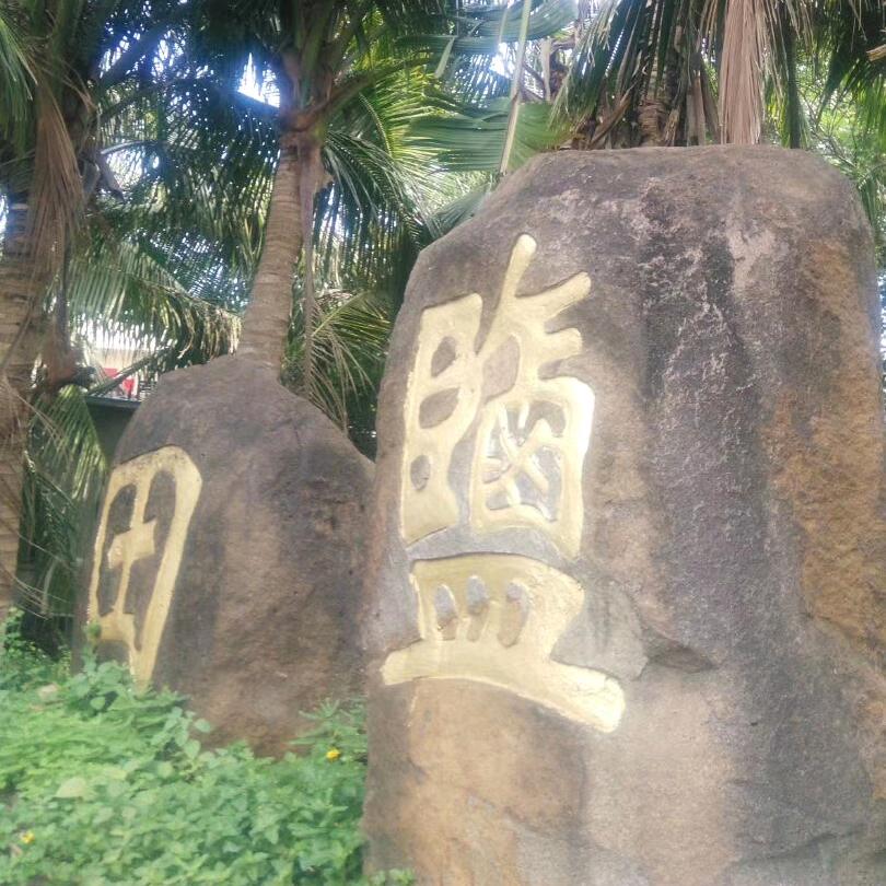 张总统
