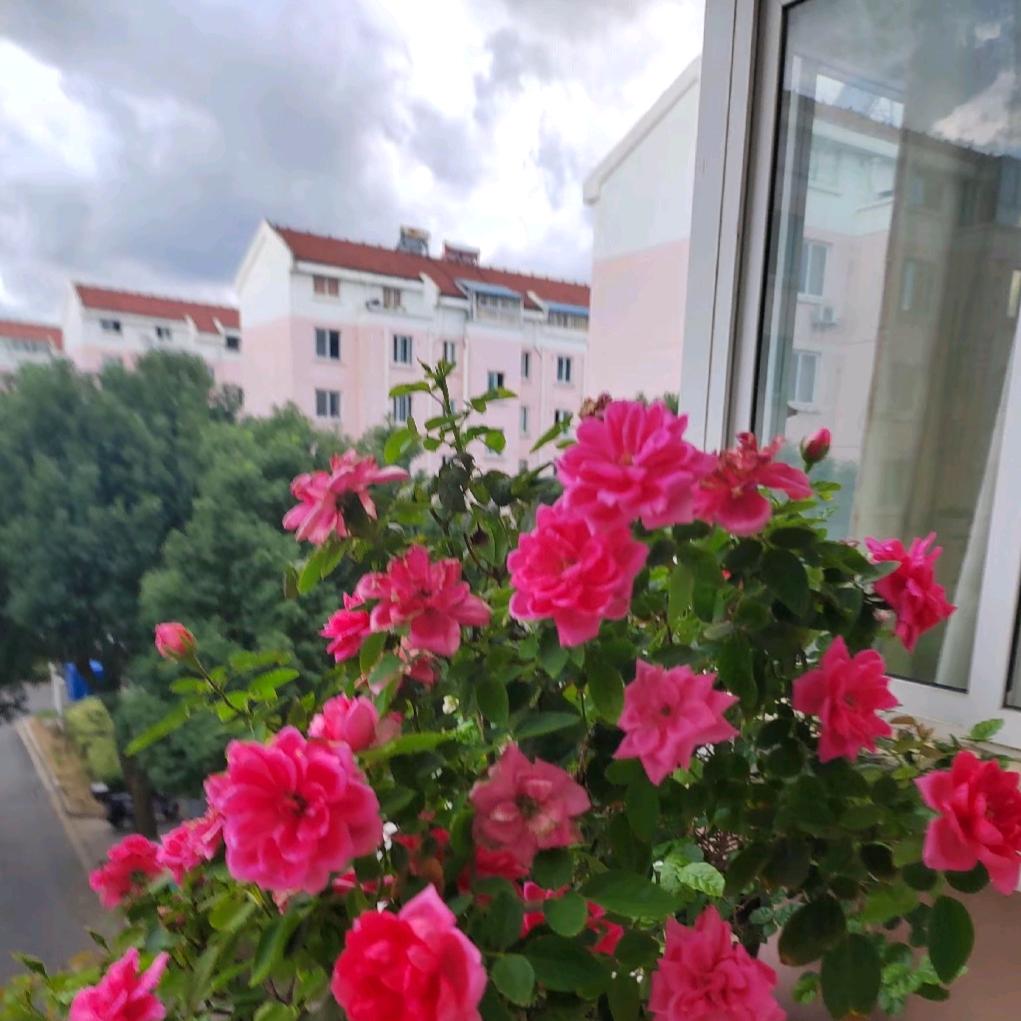 @回忆《拒绝私聊》
