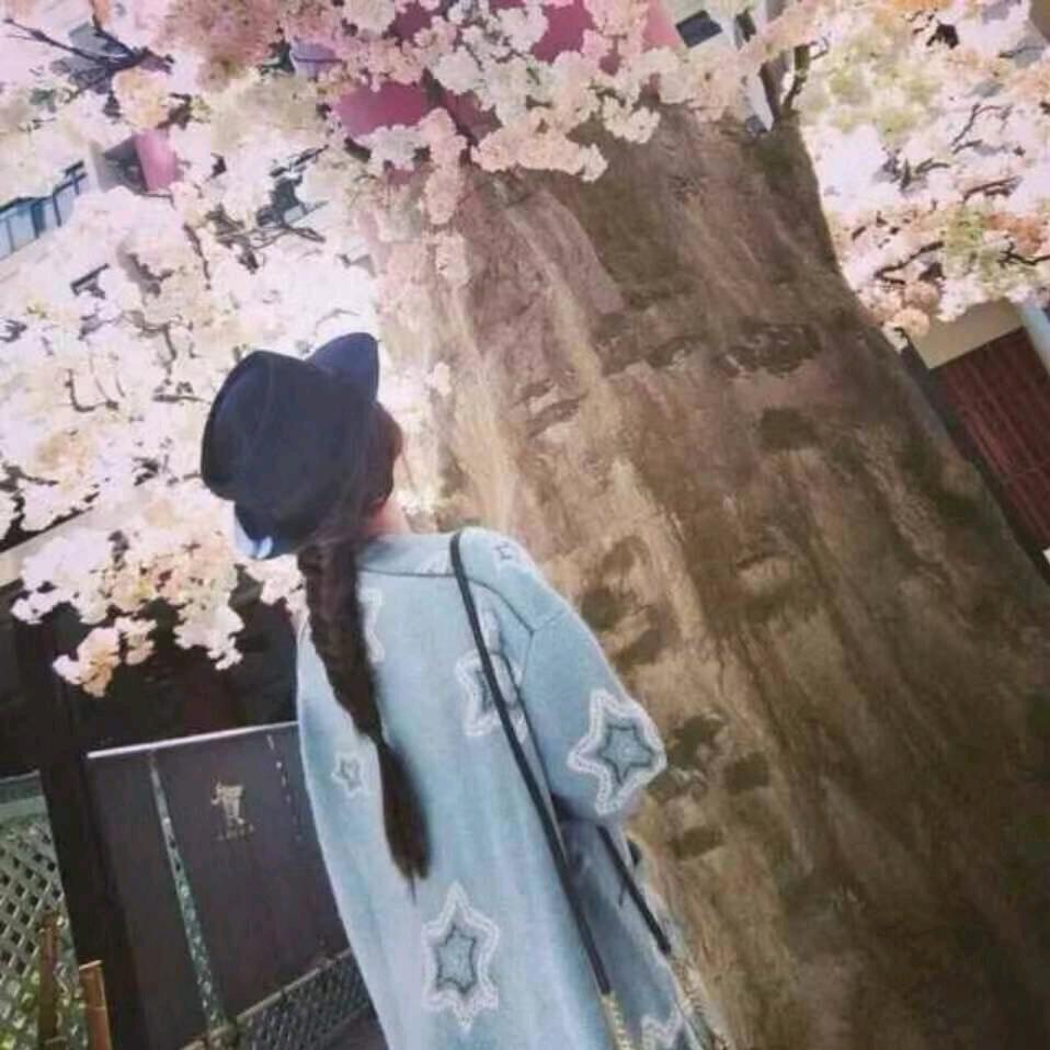 飘叶