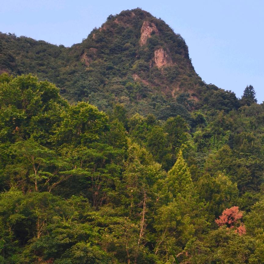 龙岩山