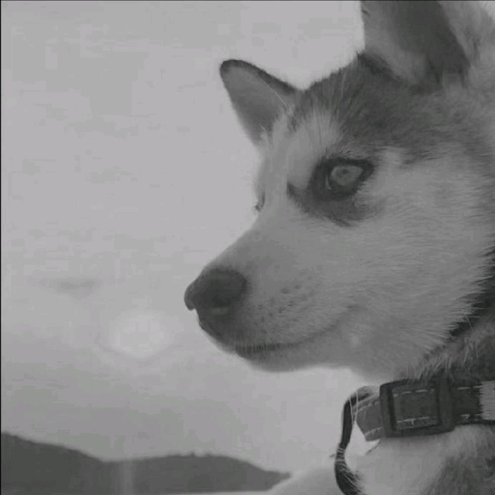 生分