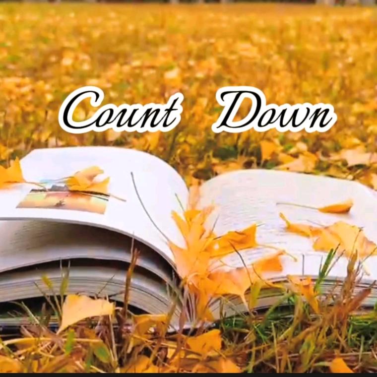Count Down