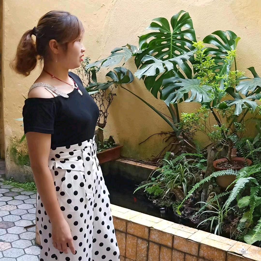 成家四小姐