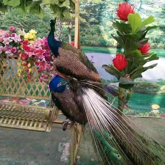 月是故乡明