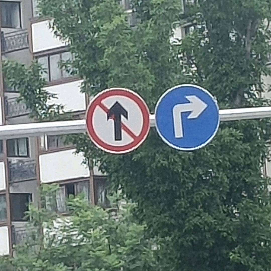 皮皮虎