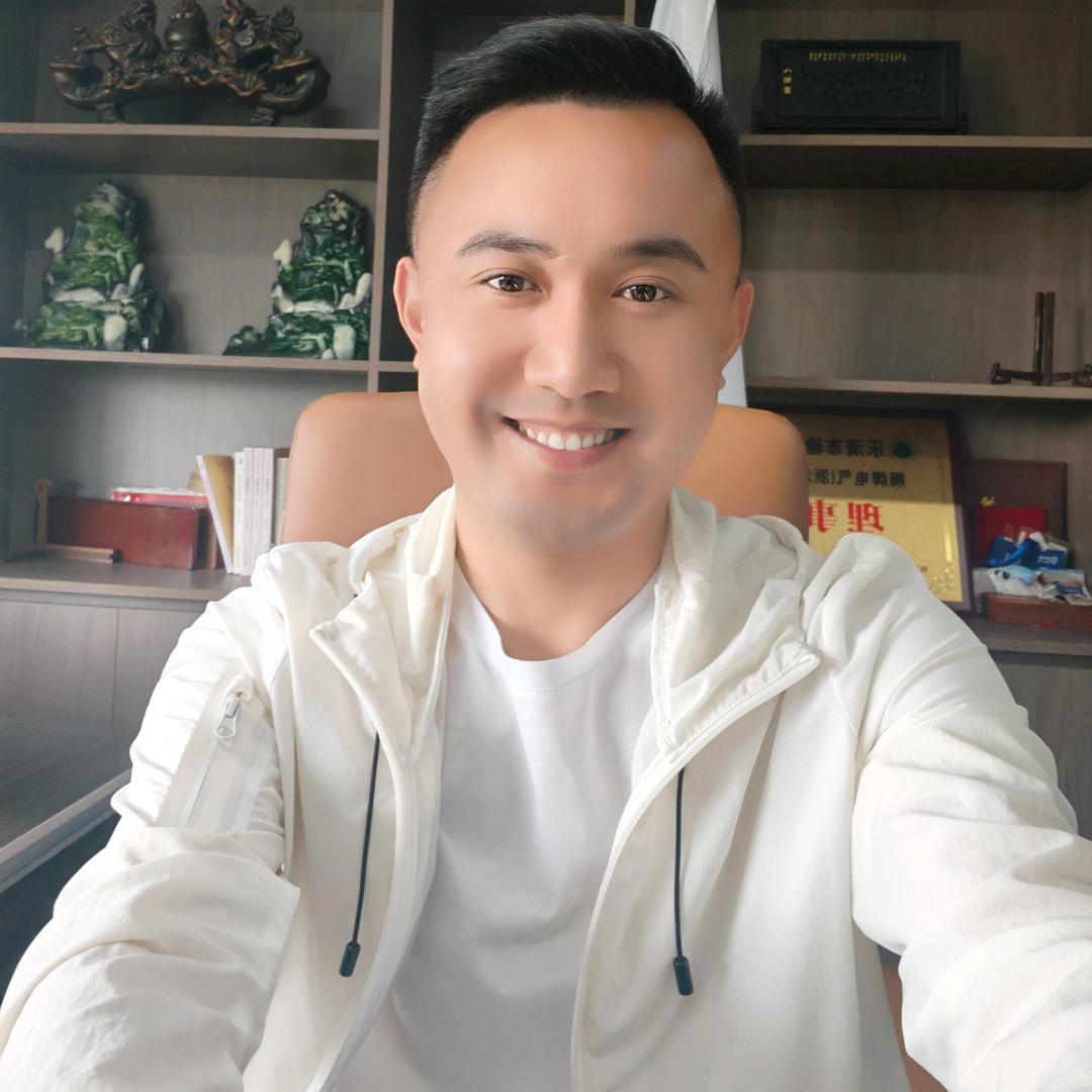 天振电气（成套设备厂家）
