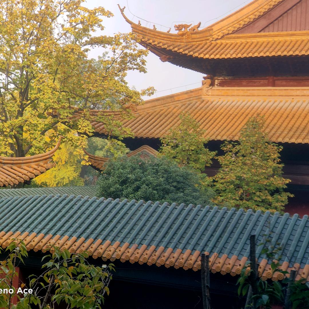 彼岸-